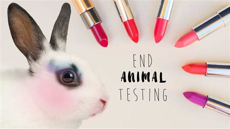 It’s time for the US to end cosmetics testing on animals